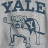 Dětská mikina s potiskem Yale University