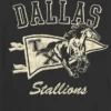 Dětské tričko s potiskem Dallas Stallions