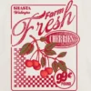 Dětské tričko s potiskem Farm Fresh Cherries