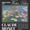 Dětské tričko s potiskem „Monetovy lekníny“