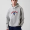 Mikina s kapucí Vintagesoft Oversized Americana Logo