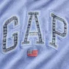 Mikina s kapucí Vintagesoft Oversized Americana Logo