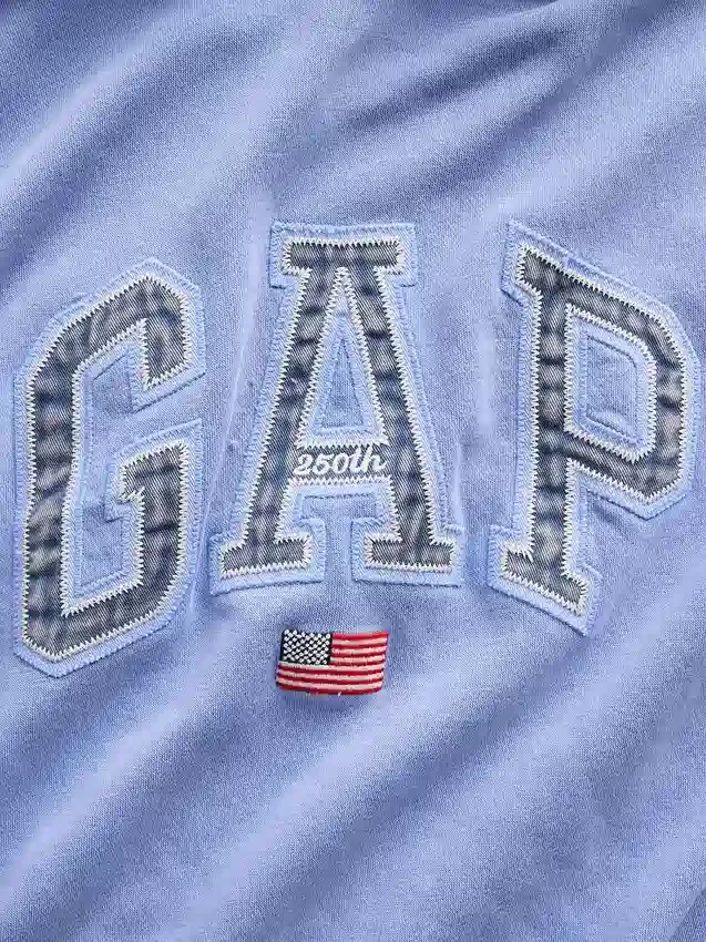 Mikina s kapucí Vintagesoft Oversized Americana Logo