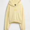 Mikina s kapucí Vintagesoft Oversized Crop Logo