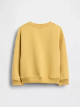 Miminka a Batolata mikina Vintagesoft