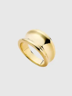 Prsten Ana Luisa Gold Wade