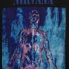Tričko Nirvana s potiskem, z těžkého materiálu, zkrácený střih