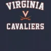 Tričko s klasickým motivem kampusu University of Virginia
